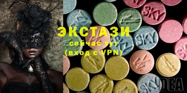 гашик Алексин