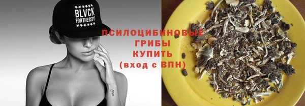 гашик Алексин