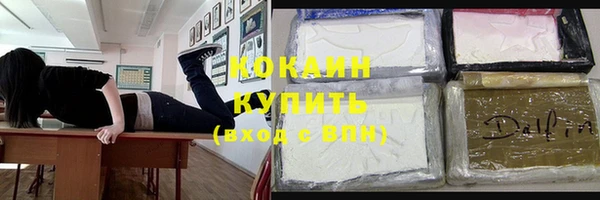 гашик Алексин