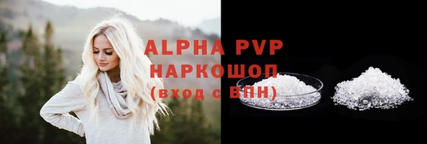 гашик Алексин