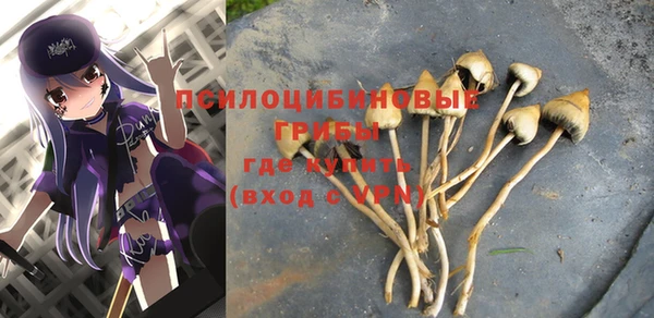 гашик Алексин