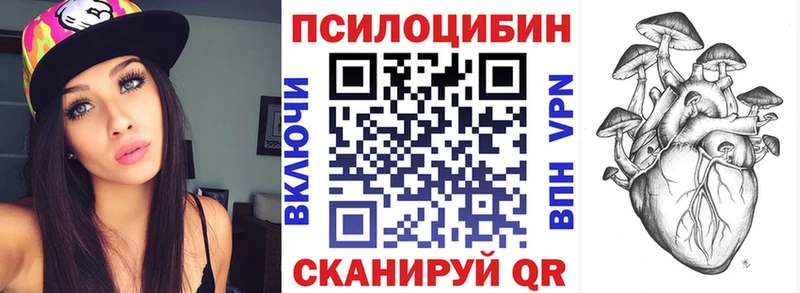 купить закладку MEGA как зайти Галлюциногенные грибы прущие грибы Нижнеудинск